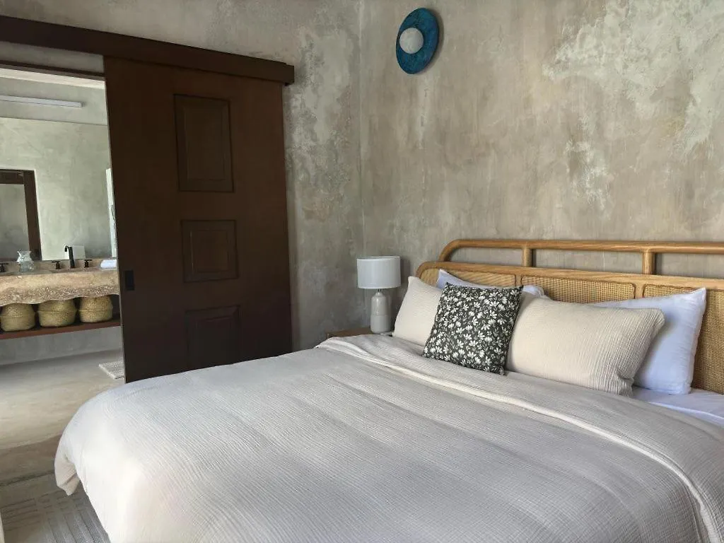 Amazing Downtown House Near Plaza Grande, 7Bd Villa Merida 0*,
